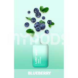 lost-mary-bm600-blueberry.jpeg